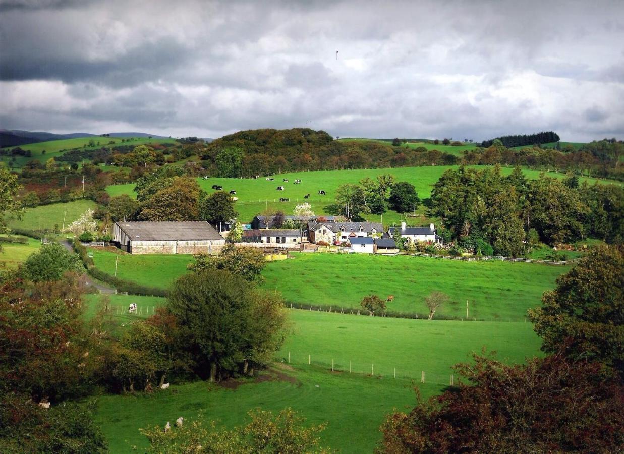 Sheep Dip Cottage - 5* Cyfie Farm, With Log Burner And Private Hot Tub Llanfyllin Exteriör bild