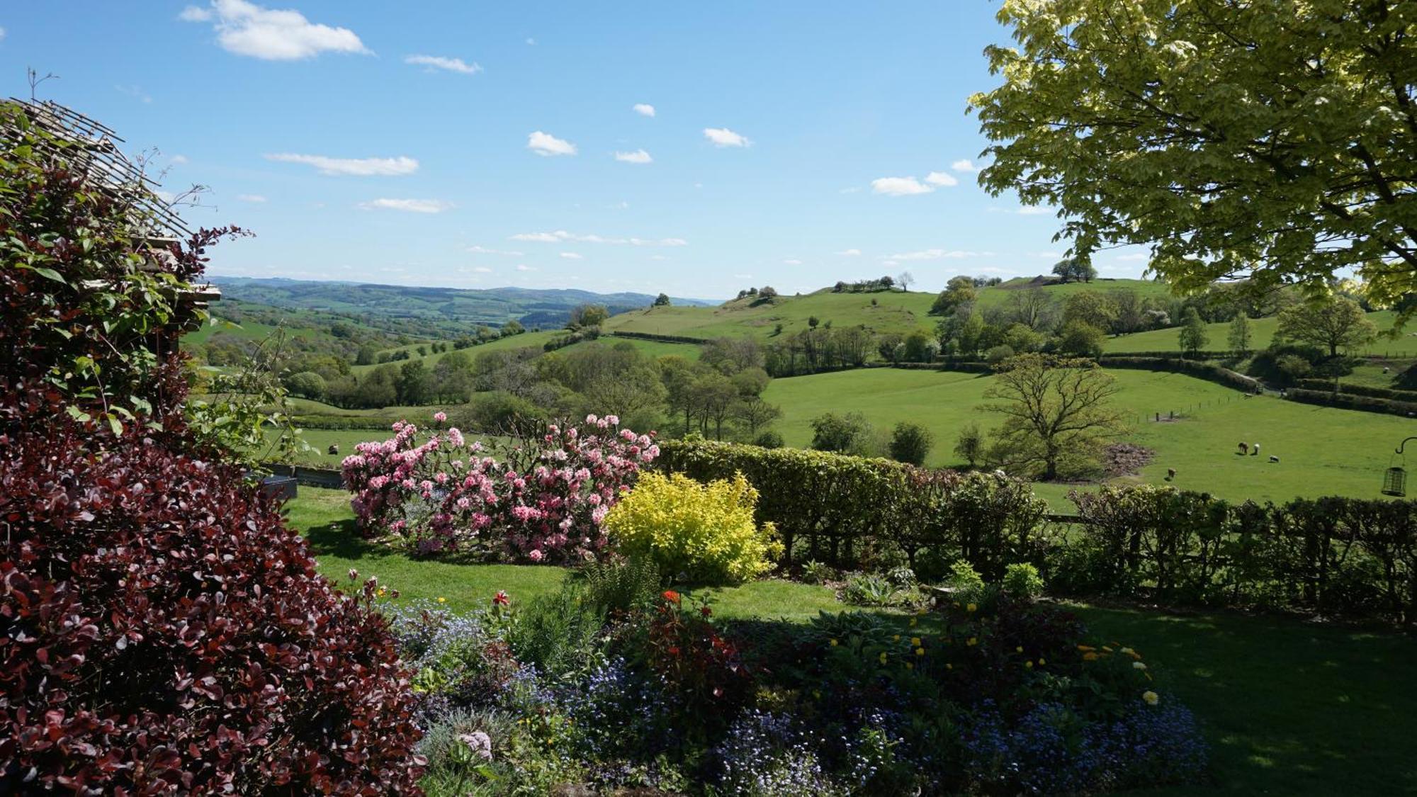 Sheep Dip Cottage - 5* Cyfie Farm, With Log Burner And Private Hot Tub Llanfyllin Exteriör bild